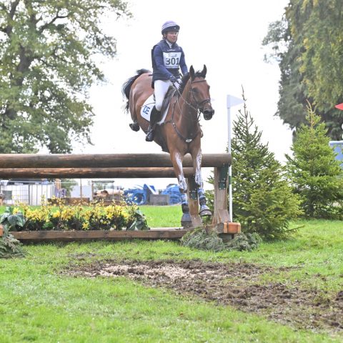 MBF Dassett Legacy