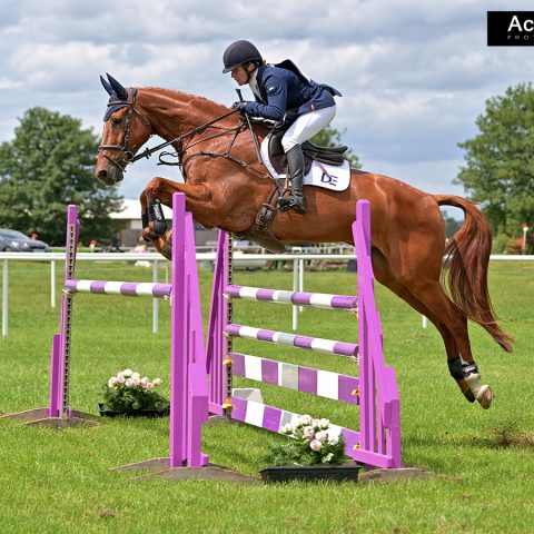 Dassett Venture