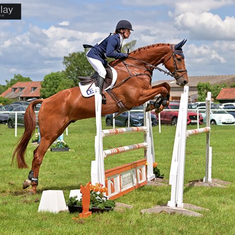 Dassett Venture