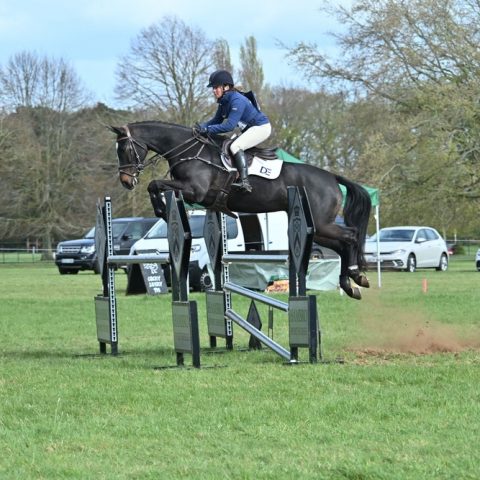 Dassett Enigma