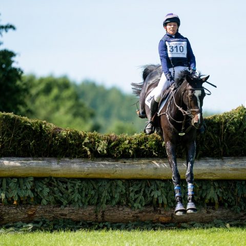 Dassett Enigma