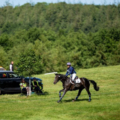 Dassett Enigma