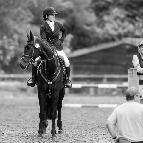 Dassett Enigma