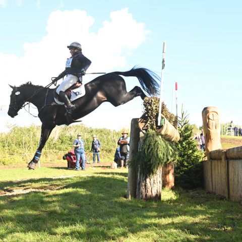 Dassett Enigma