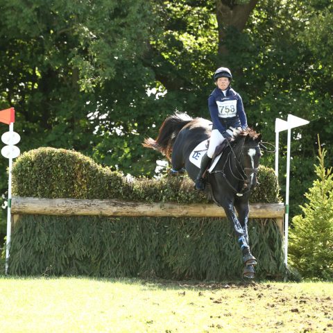 Dassett Enigma