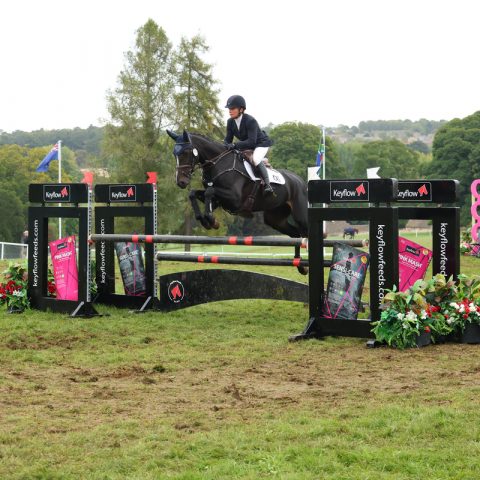 Dassett Enigma