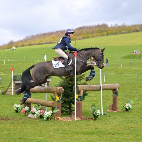 Dassett Enigma