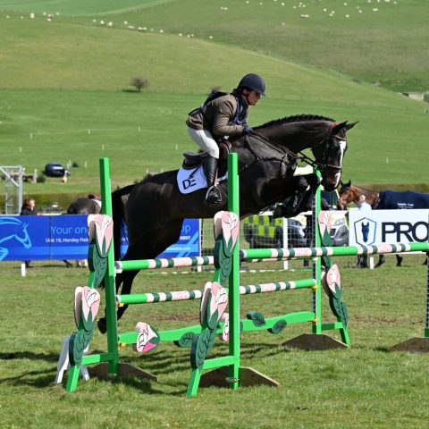 Dassett Enigma