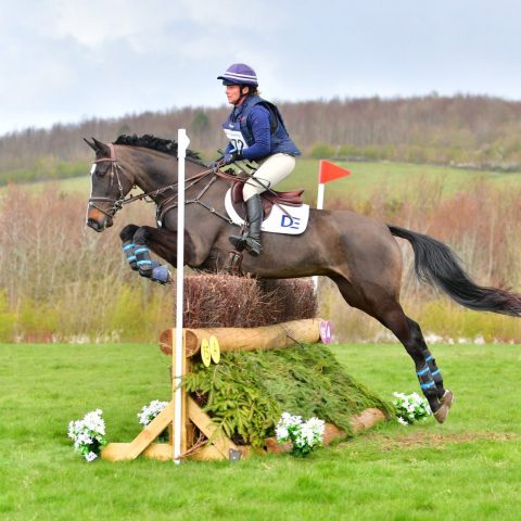 Dassett Enigma
