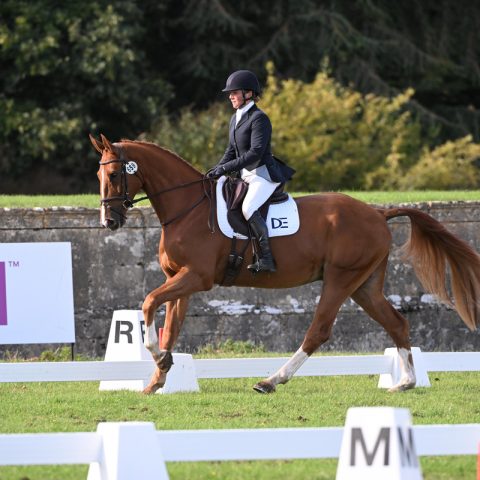 KMS Dassett Envoy