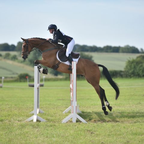 Dassett All In