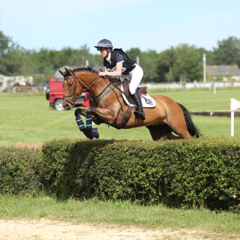 Dassett All In