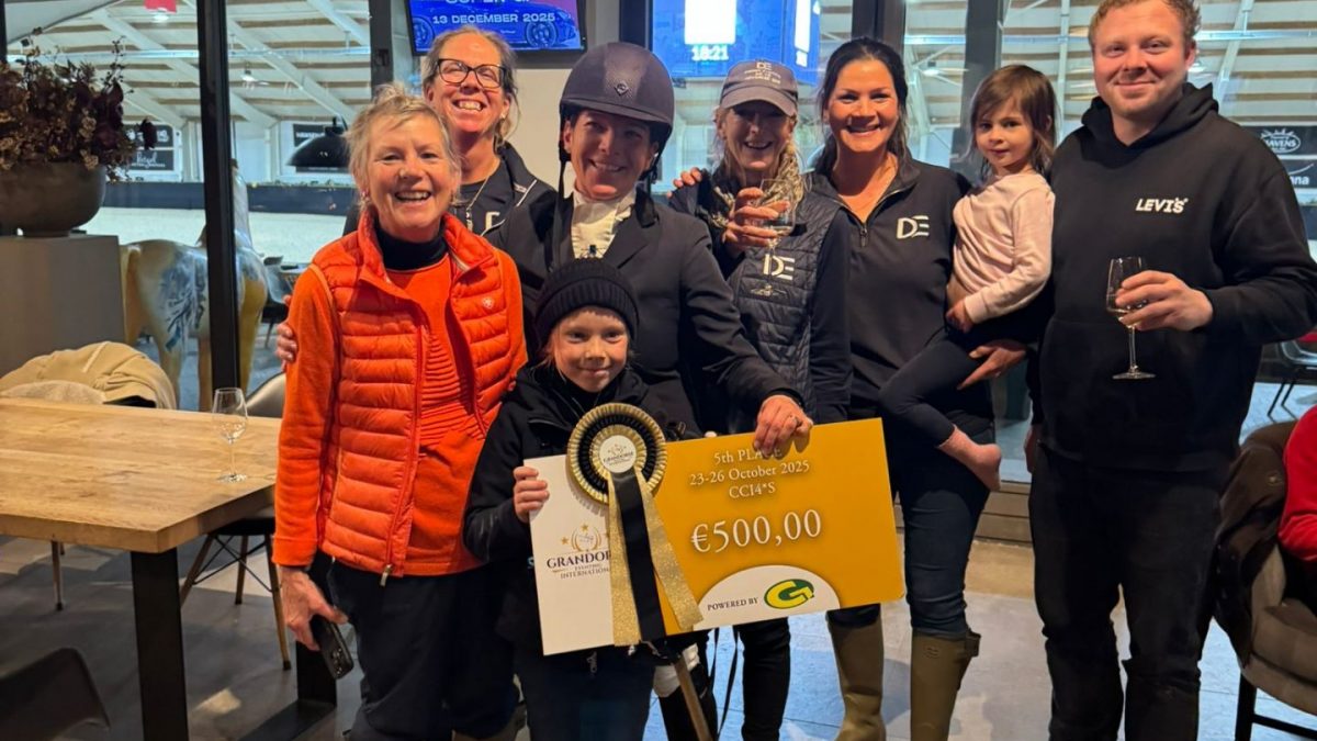 November 2025 Newsletter