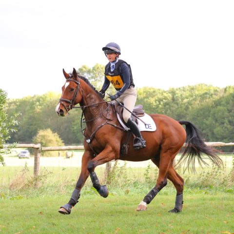 Dassett By Design