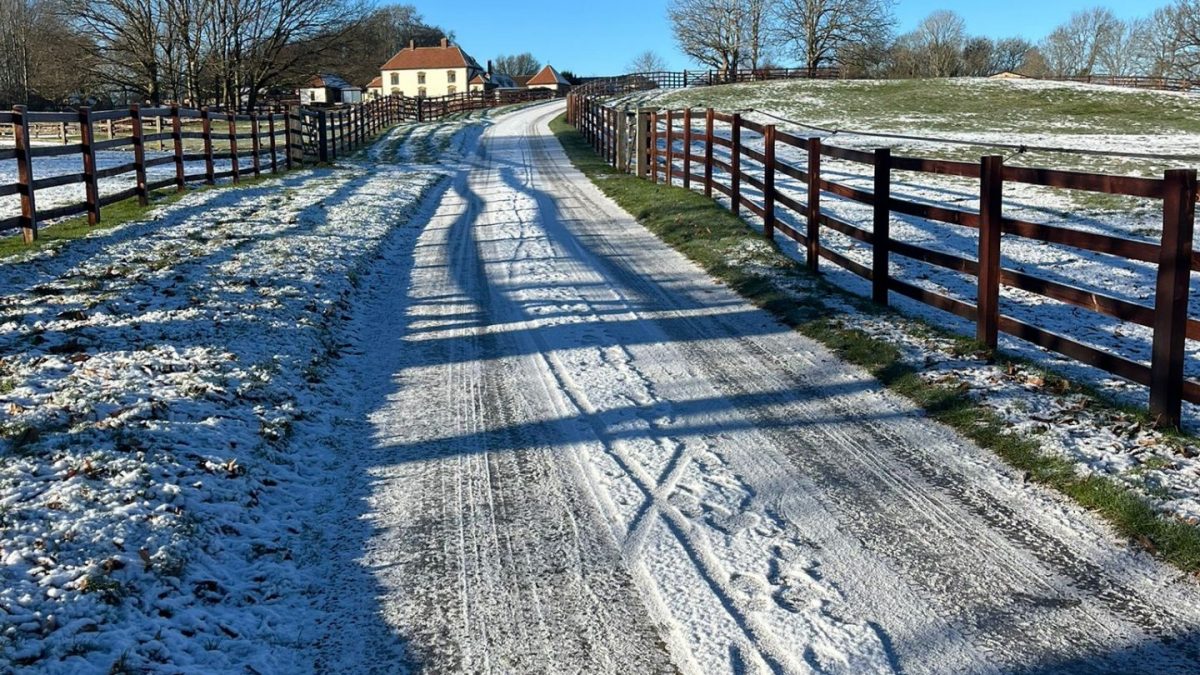 January 2026 Newsletter