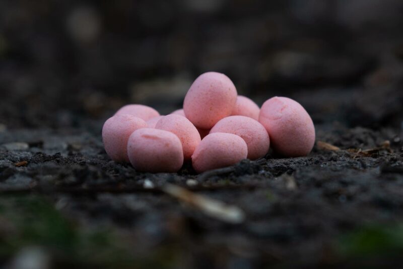 Super Squid Pillows Pop Up – Elevate Baits