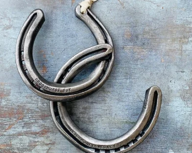 Hoofprints Horseshoe Keepsake