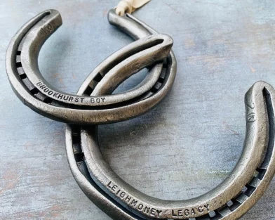 Hoofprints Horseshoe Keepsake