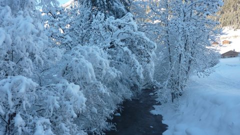 Chatel : Snow Record