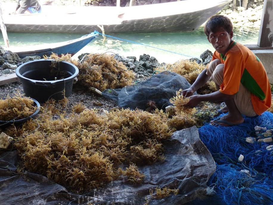 Can fishing in Indonesia be sustainable? – DW – 01/10/2022