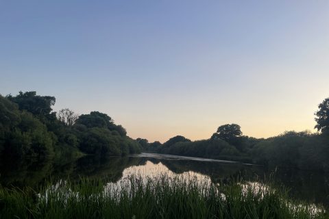 Wildland In Focus: A Journey of Discovery