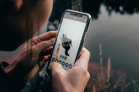 Ecological Apps (so you can identify APPsolutely everything!)