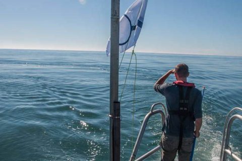 From hypotheses to tropical seas: My road to becoming Operation Wallacea’s Marine Research Manager