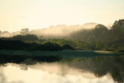 There’s No Watering Down the Importance of Water