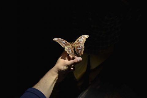 Who Knew Dissertation Research Could Be So Fun!