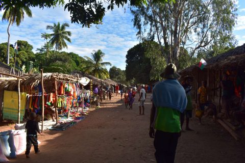 Exploring Madagascar: Our School Expedition with Operation Wallacea 