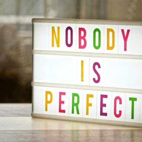 nobody is perfect