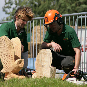 vans for tree surgeons