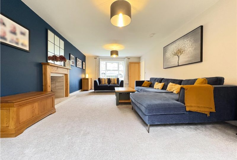 Primrose Hollow, Louth