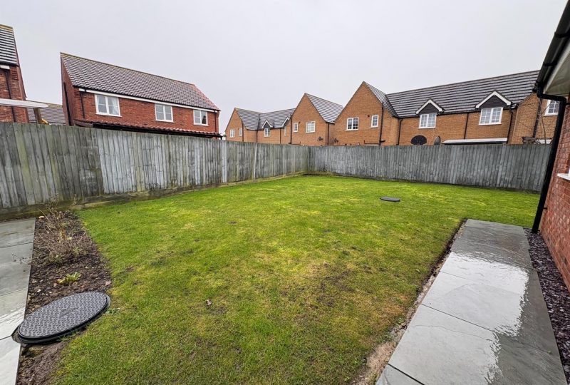 Sunflower Way, Boston