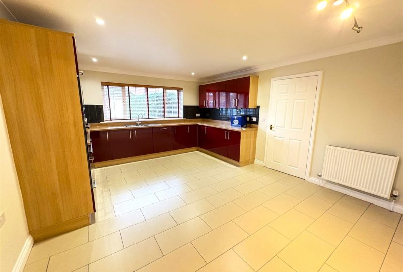 Sunflower Way, Boston