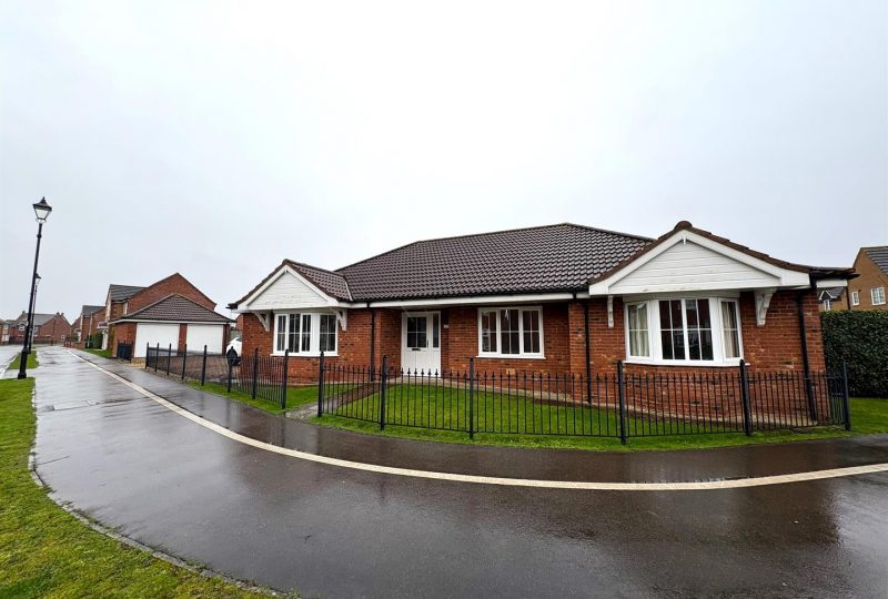 Sunflower Way, Boston