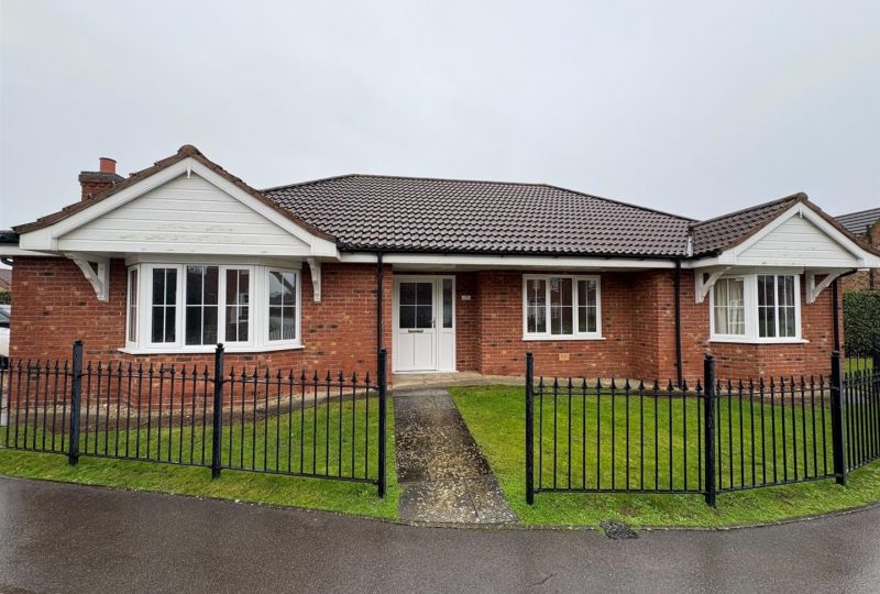 Sunflower Way, Boston