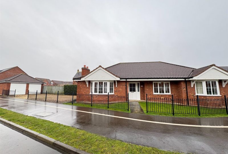 Sunflower Way, Boston