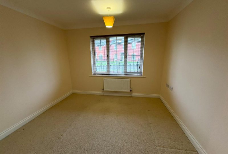 Sunflower Way, Boston