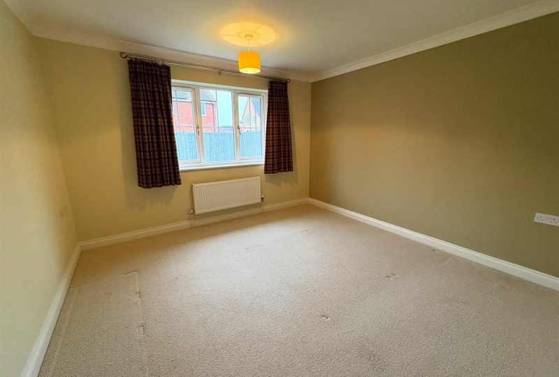 Sunflower Way, Boston