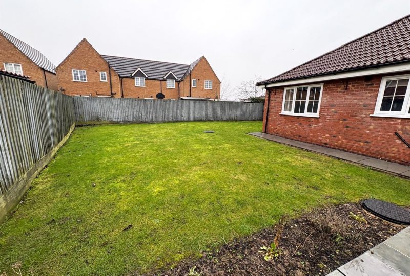 Sunflower Way, Boston