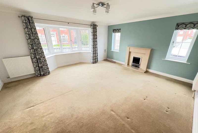 Sunflower Way, Boston