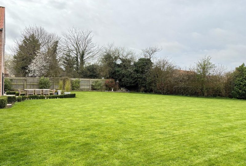 Roberts Meadow, Alvingham, Louth