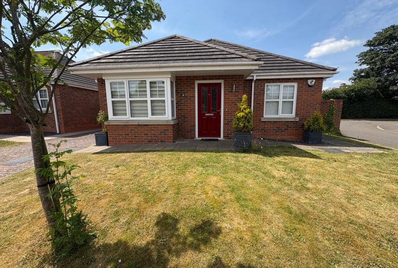 Taylor’s Garden, Louth