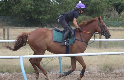 NHC Horses (1)