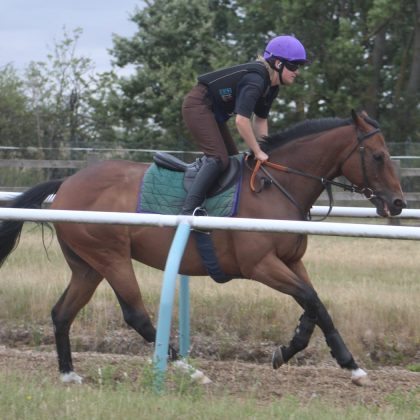 NHC Horses (2)