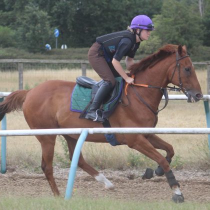 NHC Horses (3)