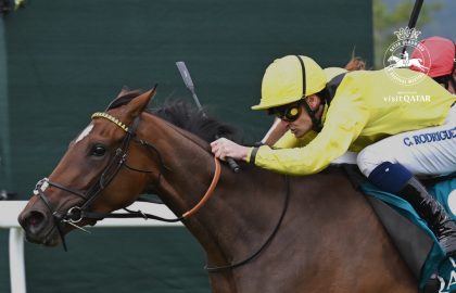 Winning Weekend for NHC Graduates