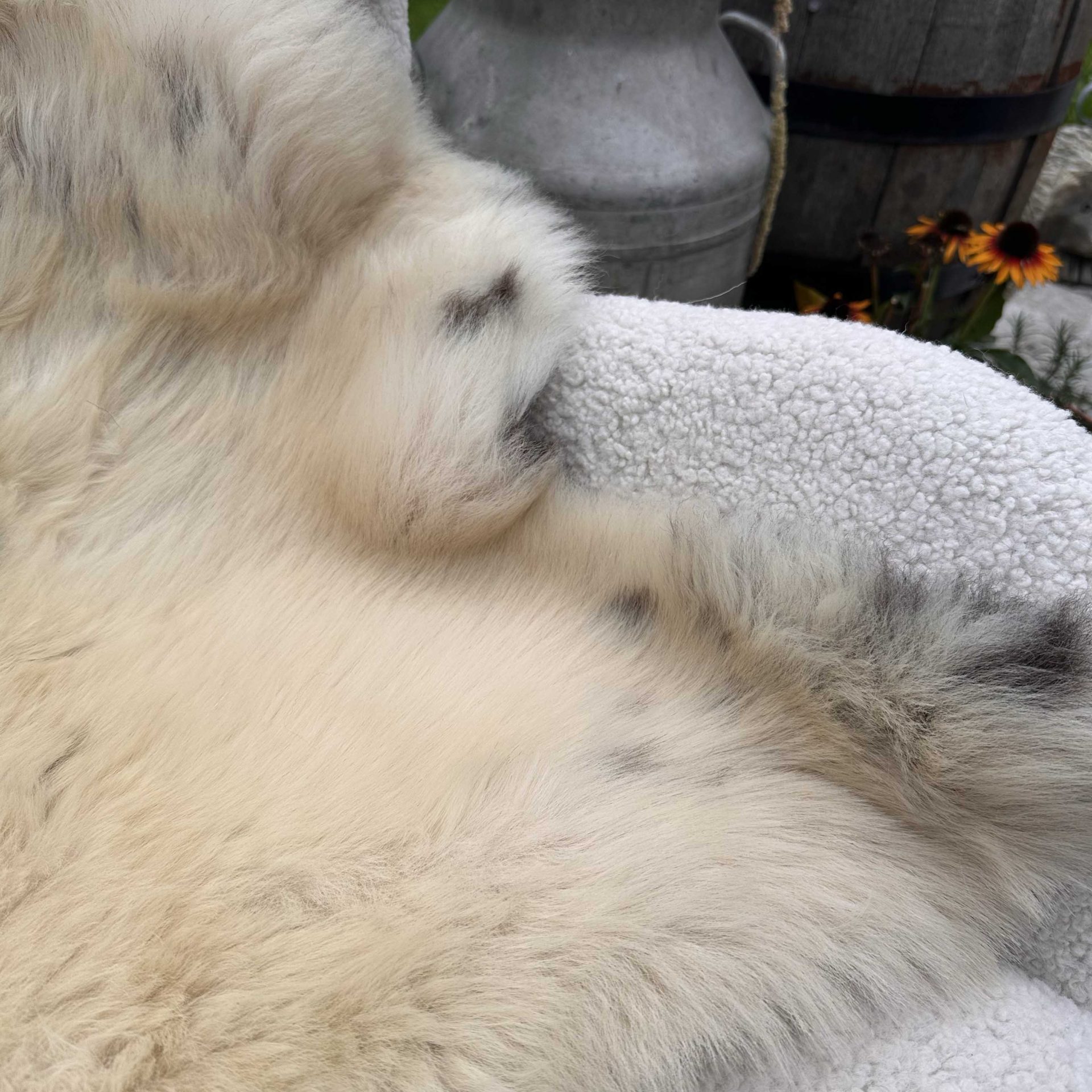 Natural Coloured British Sheepskin – 7