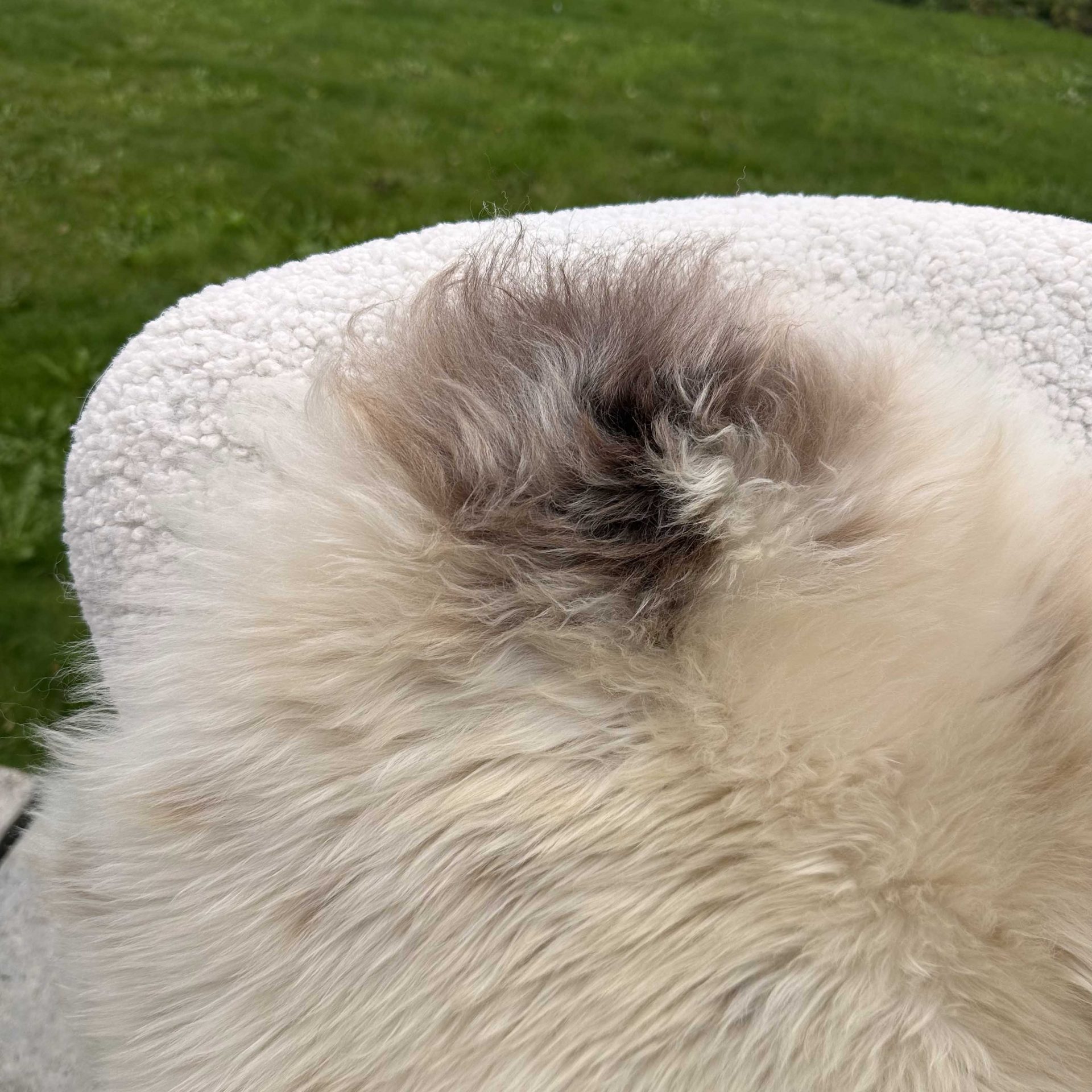 Natural Coloured British Sheepskin – 12